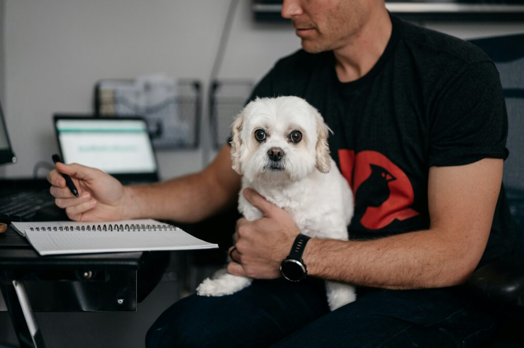 Dogs Support Mental Health at Work