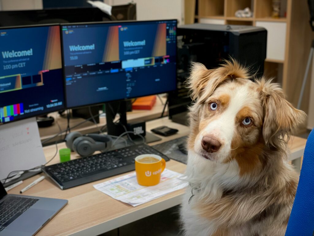 Dogs Support Mental Health at Work