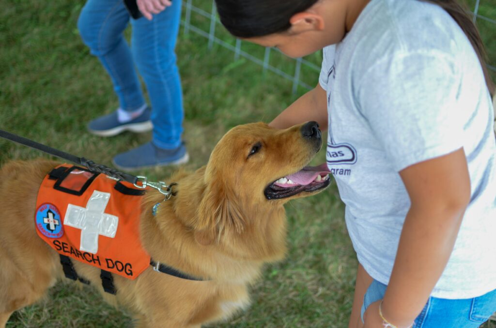 How to Volunteer With Dogs in Boston