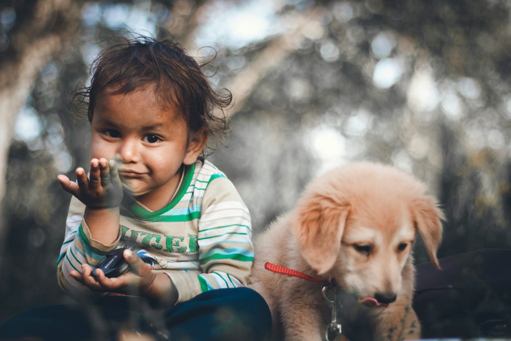 Boosting Emotional Health Through Canine Companionship