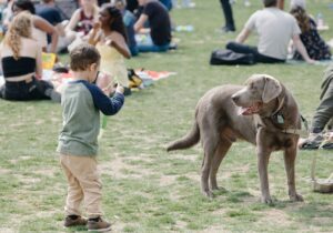 The Link Between Social Skills and Canine Mental Health