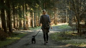 How Walks Improve Dog Behavior at Home