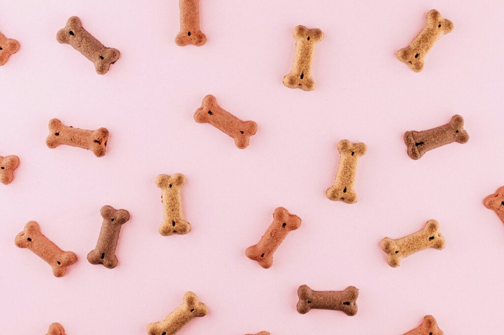 How to Spot Sneaky Additives and Preservatives in Dog Treats