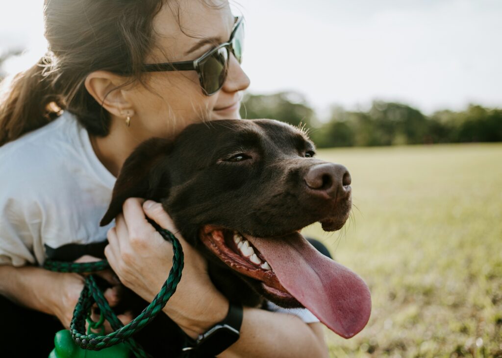 Treats, Toys, and Gifts: Dogs Who Share Love