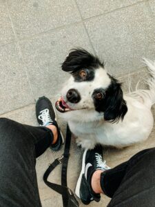 The First 3 Weeks: Building Routine, Trust, and Confidence