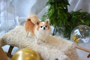 My Resolution to Build Confidence and Independence