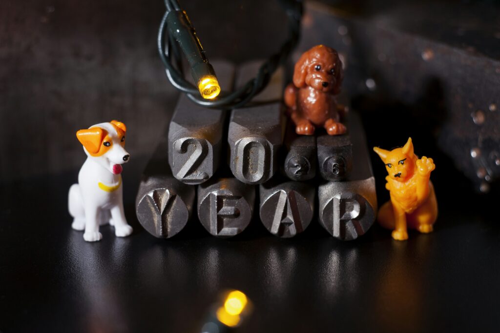 My Resolution to Build Confidence and Independence